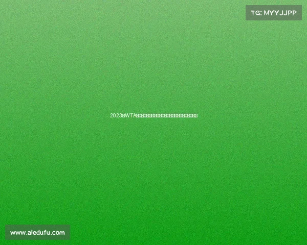 2023年WTA年终总决赛热力开赛：顶尖女网选手坎昆角逐冠军荣耀